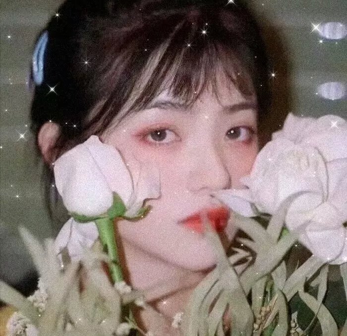 破碎太阳之心